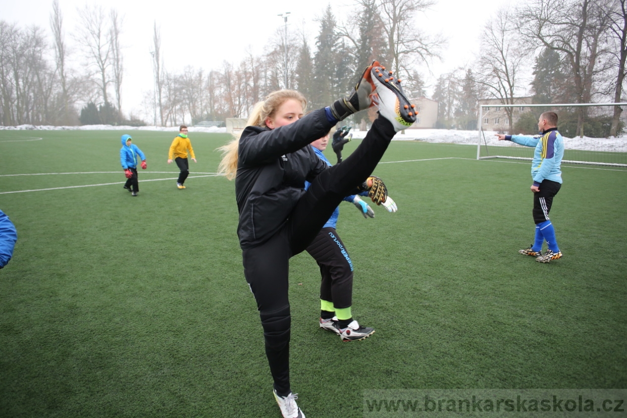 BFŠJCH - Zima 2017 - 4.2,2017