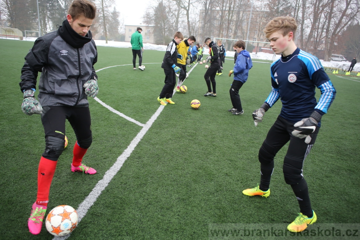 BFŠJCH - Zima 2017 - 4.2,2017