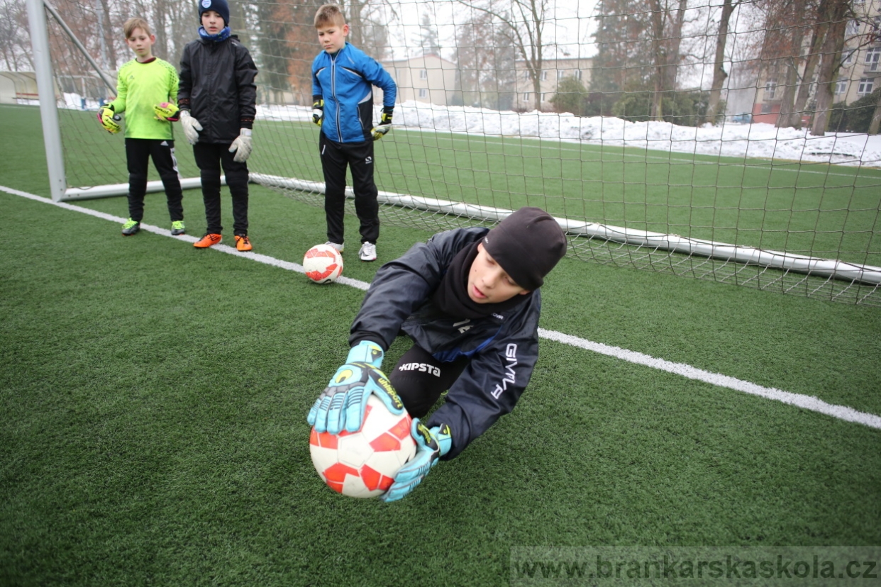 BFŠJCH - Zima 2017 - 4.2,2017