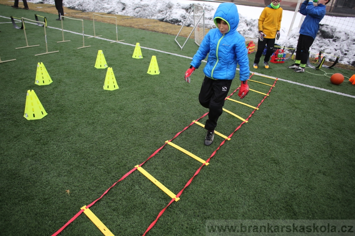 BFŠJCH - Zima 2017 - 4.2,2017