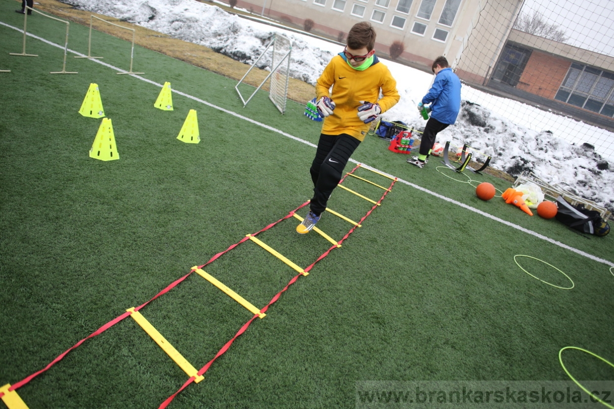 BFŠJCH - Zima 2017 - 4.2,2017
