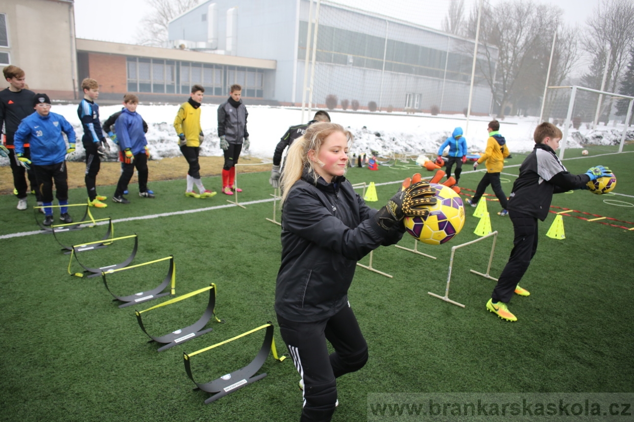 BFŠJCH - Zima 2017 - 4.2,2017