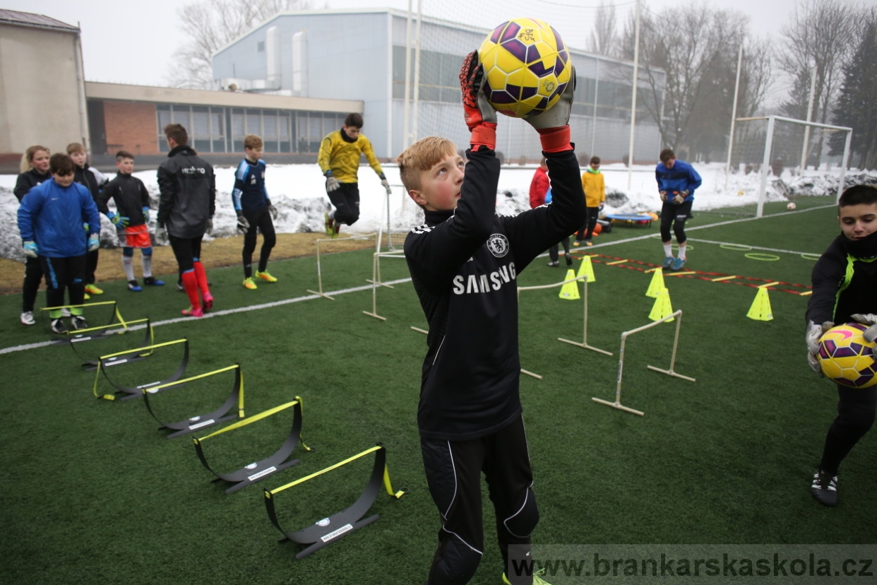 BFŠJCH - Zima 2017 - 4.2,2017