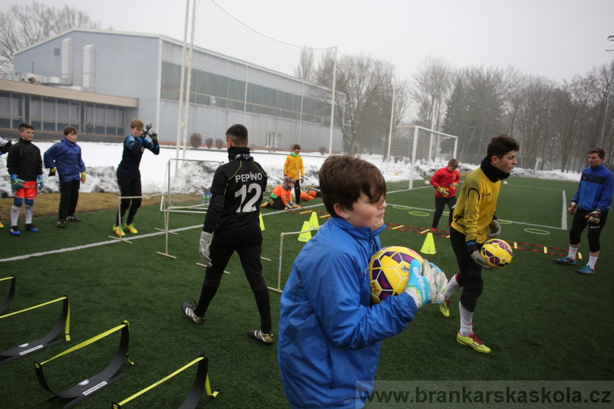 BFŠJCH - Zima 2017 - 4.2,2017