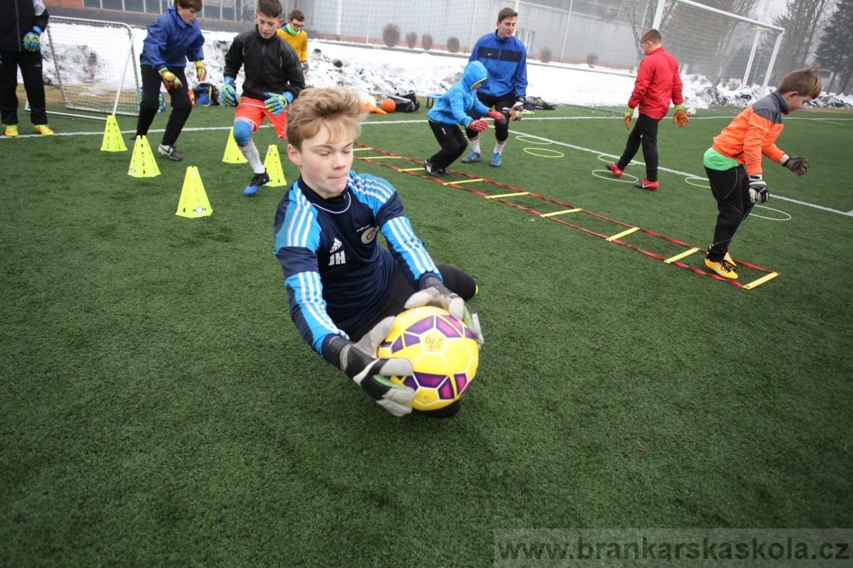 BFŠJCH - Zima 2017 - 4.2,2017