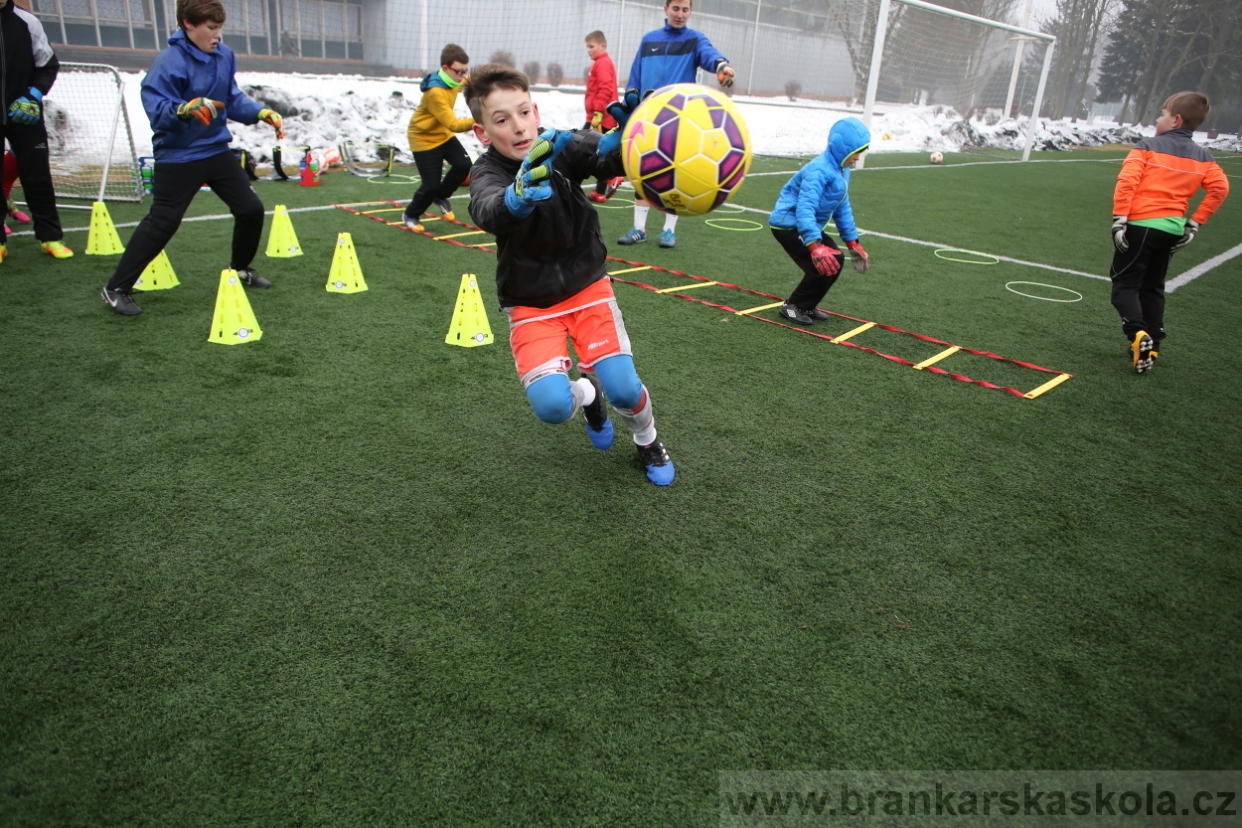 BFŠJCH - Zima 2017 - 4.2,2017