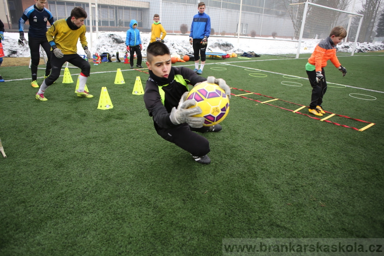 BFŠJCH - Zima 2017 - 4.2,2017