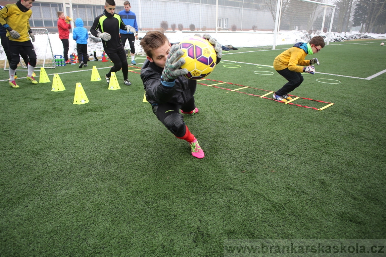 BFŠJCH - Zima 2017 - 4.2,2017