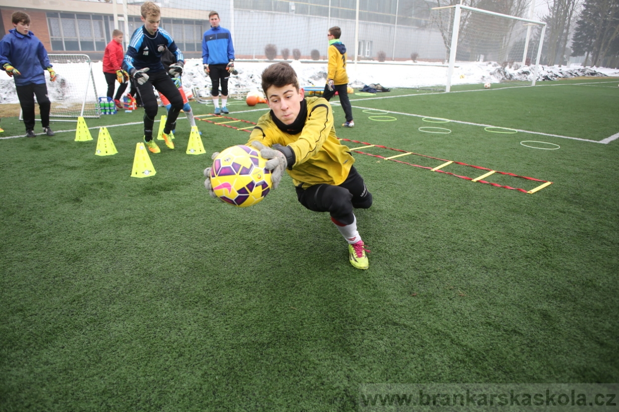 BFŠJCH - Zima 2017 - 4.2,2017