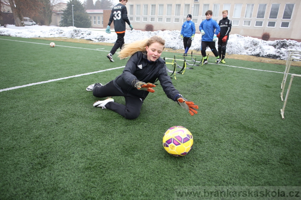 BFŠJCH - Zima 2017 - 4.2,2017