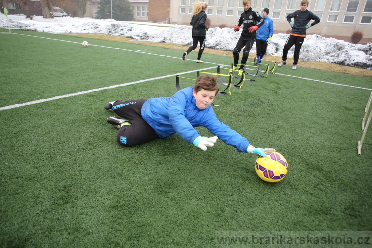 BFŠJCH - Zima 2017 - 4.2,2017