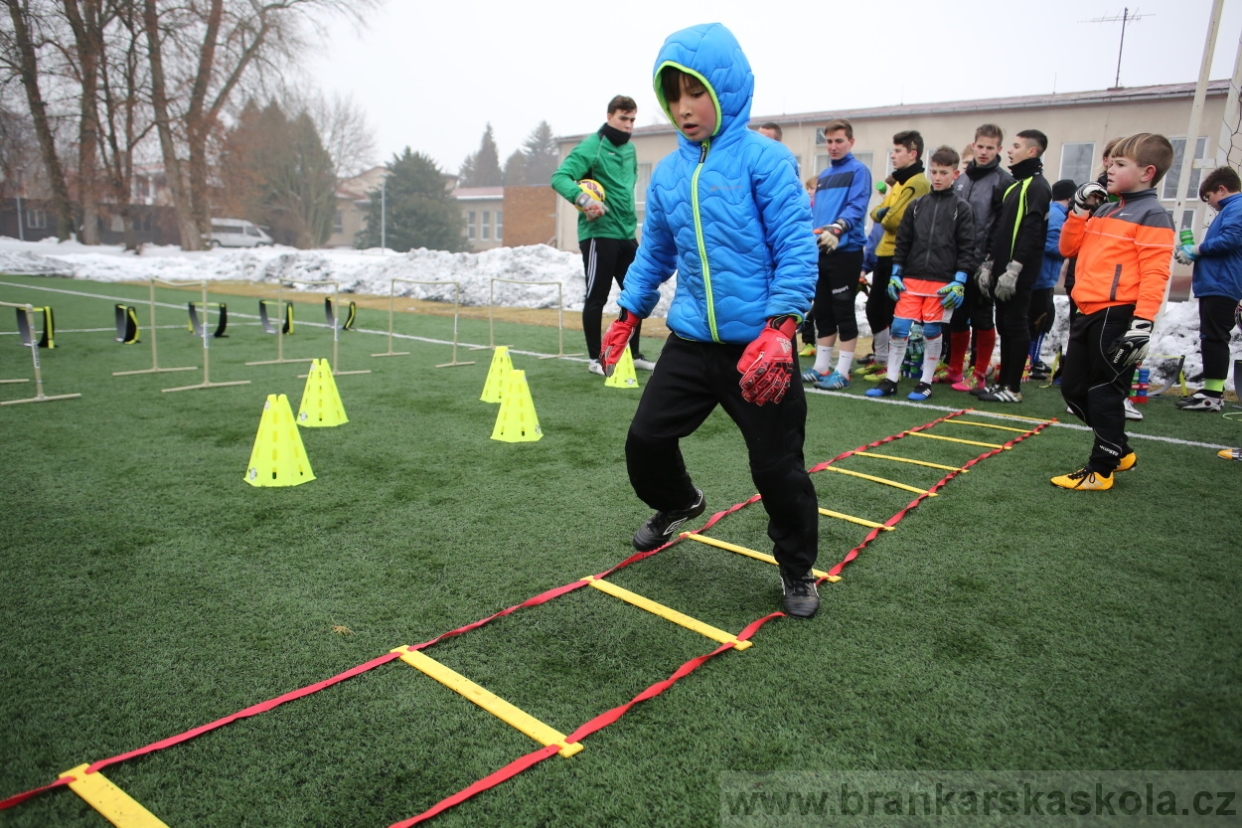 BFŠJCH - Zima 2017 - 4.2,2017