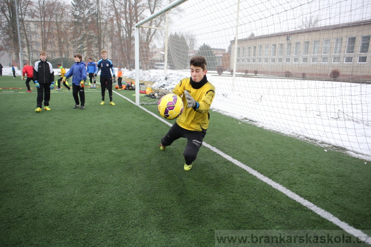 BFŠJCH - Zima 2017 - 4.2,2017