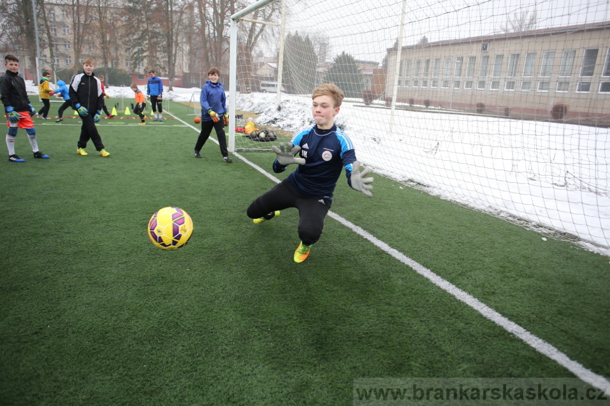 BFŠJCH - Zima 2017 - 4.2,2017