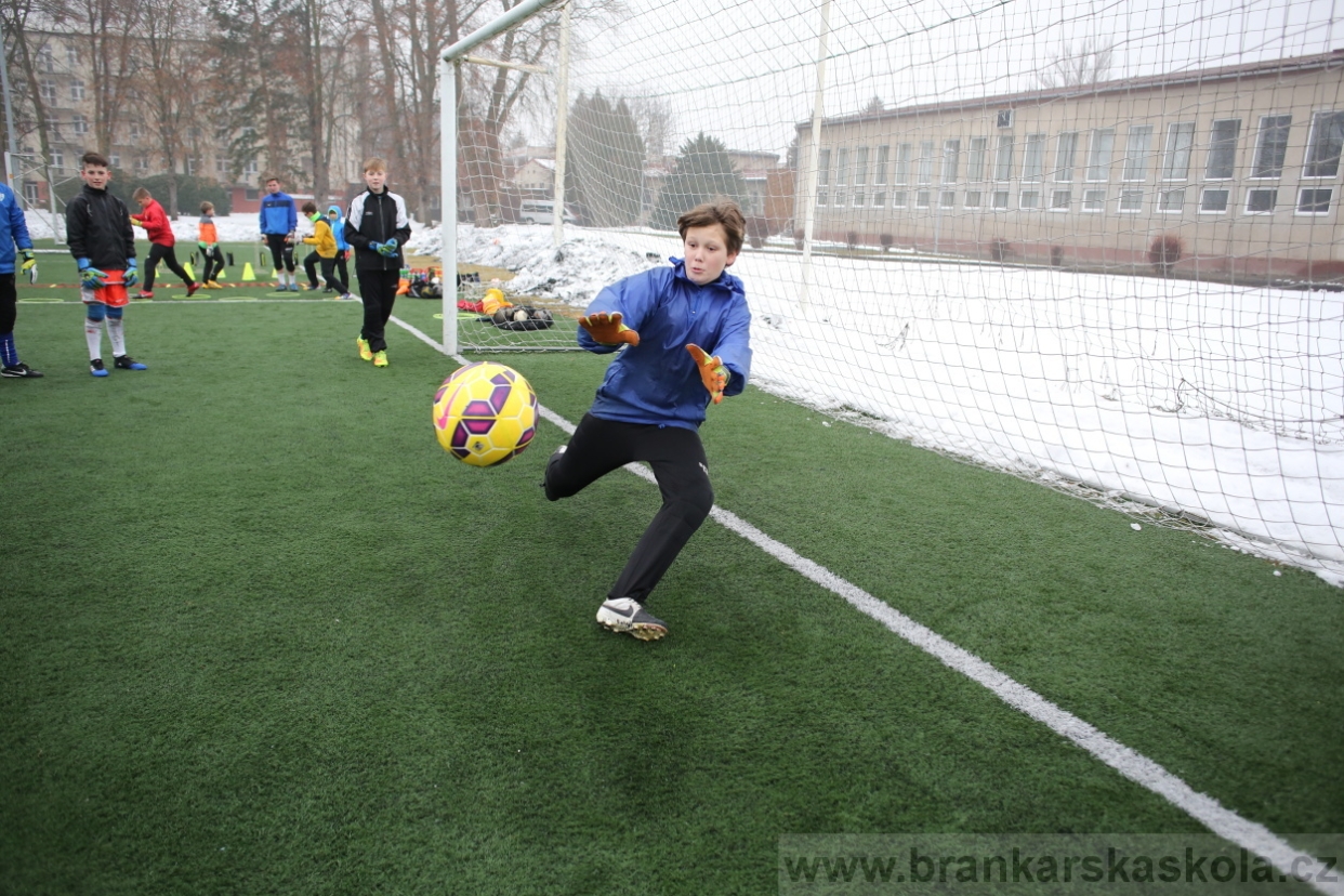 BFŠJCH - Zima 2017 - 4.2,2017