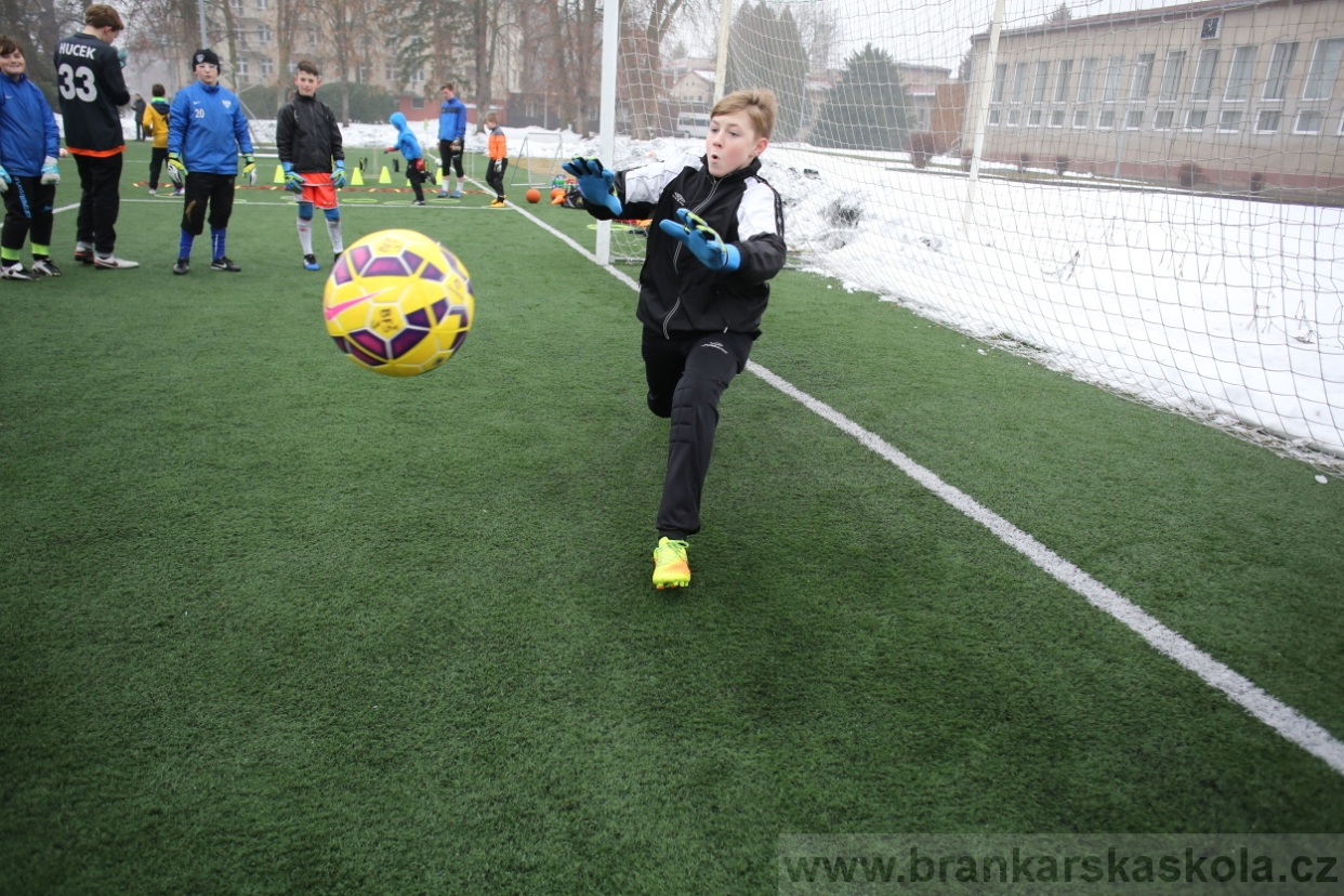 BFŠJCH - Zima 2017 - 4.2,2017