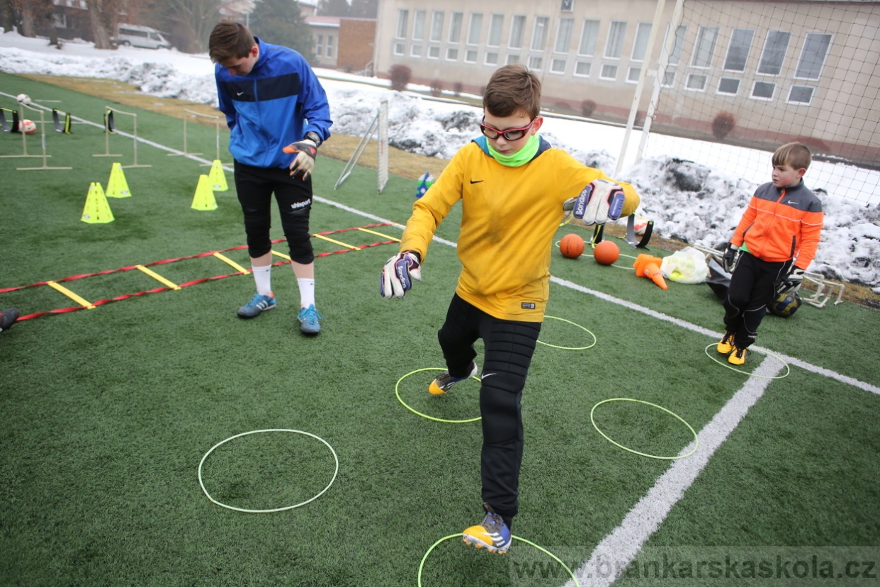BFŠJCH - Zima 2017 - 4.2,2017