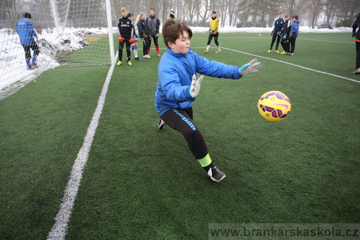 BFŠJCH - Zima 2017 - 4.2,2017