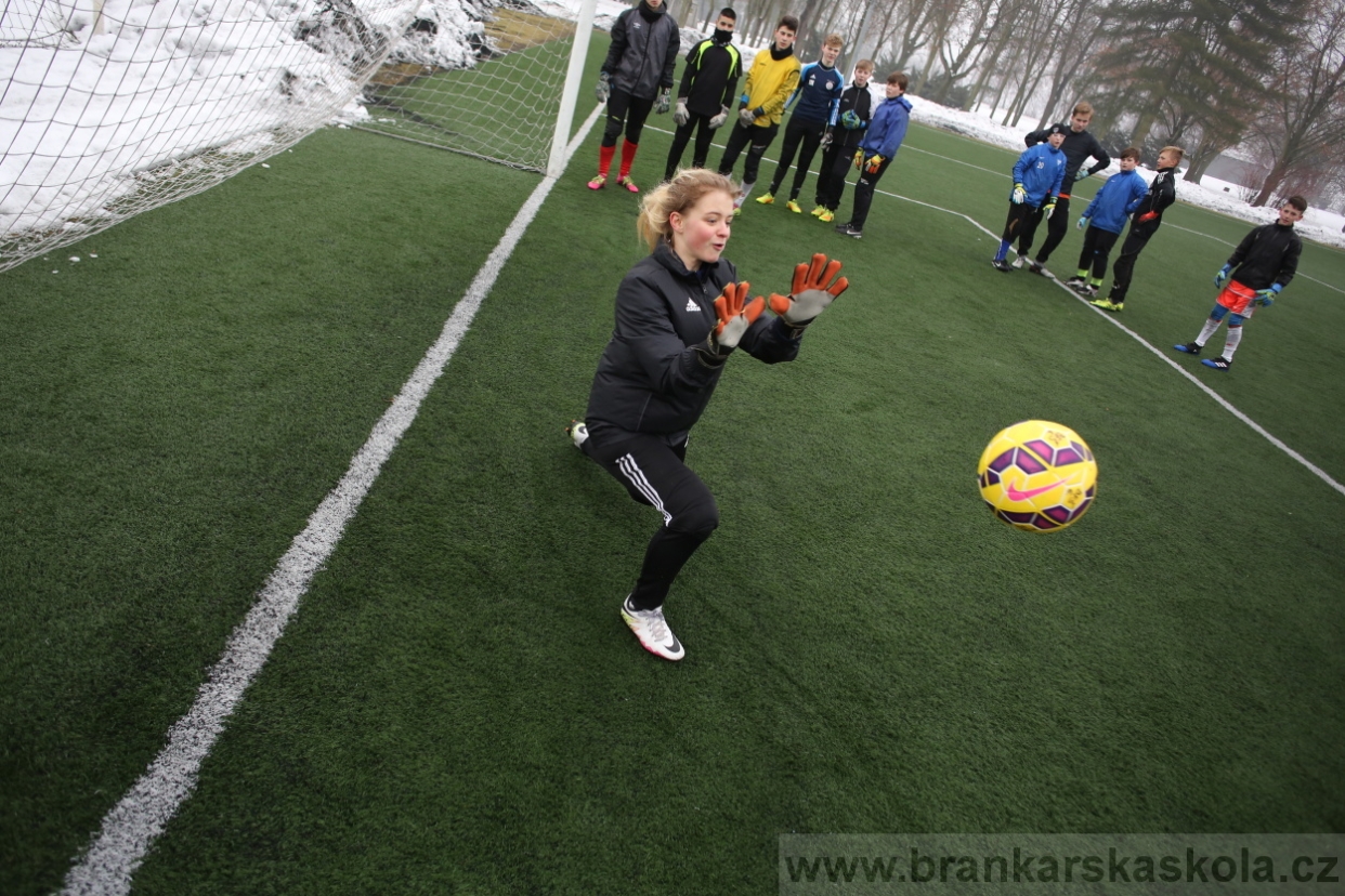 BFŠJCH - Zima 2017 - 4.2,2017