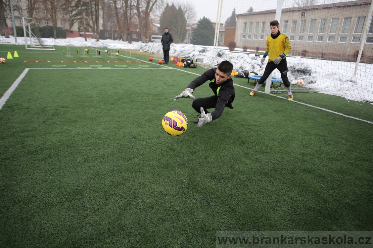 BFŠJCH - Zima 2017 - 4.2,2017