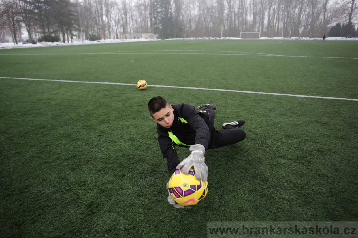 BFŠJCH - Zima 2017 - 4.2,2017