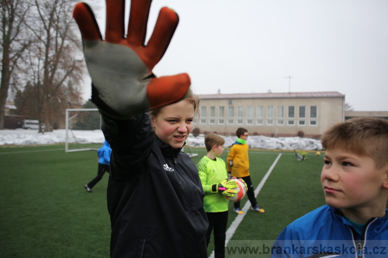 BFŠJCH - Zima 2017 - 4.2,2017