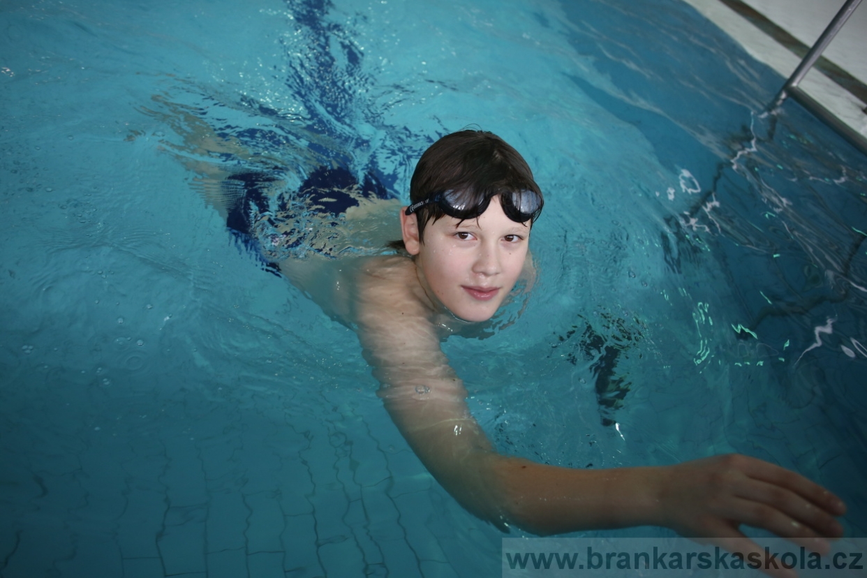 BFŠJCH - Zima 2017 - 4.2,2017