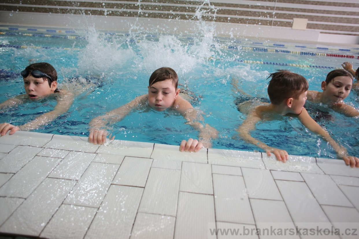 BFŠJCH - Zima 2017 - 4.2,2017