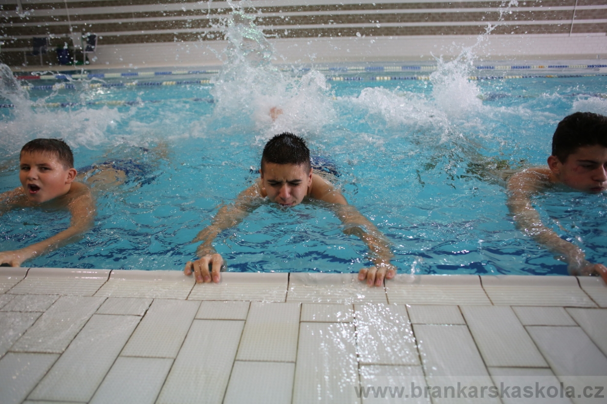 BFŠJCH - Zima 2017 - 4.2,2017