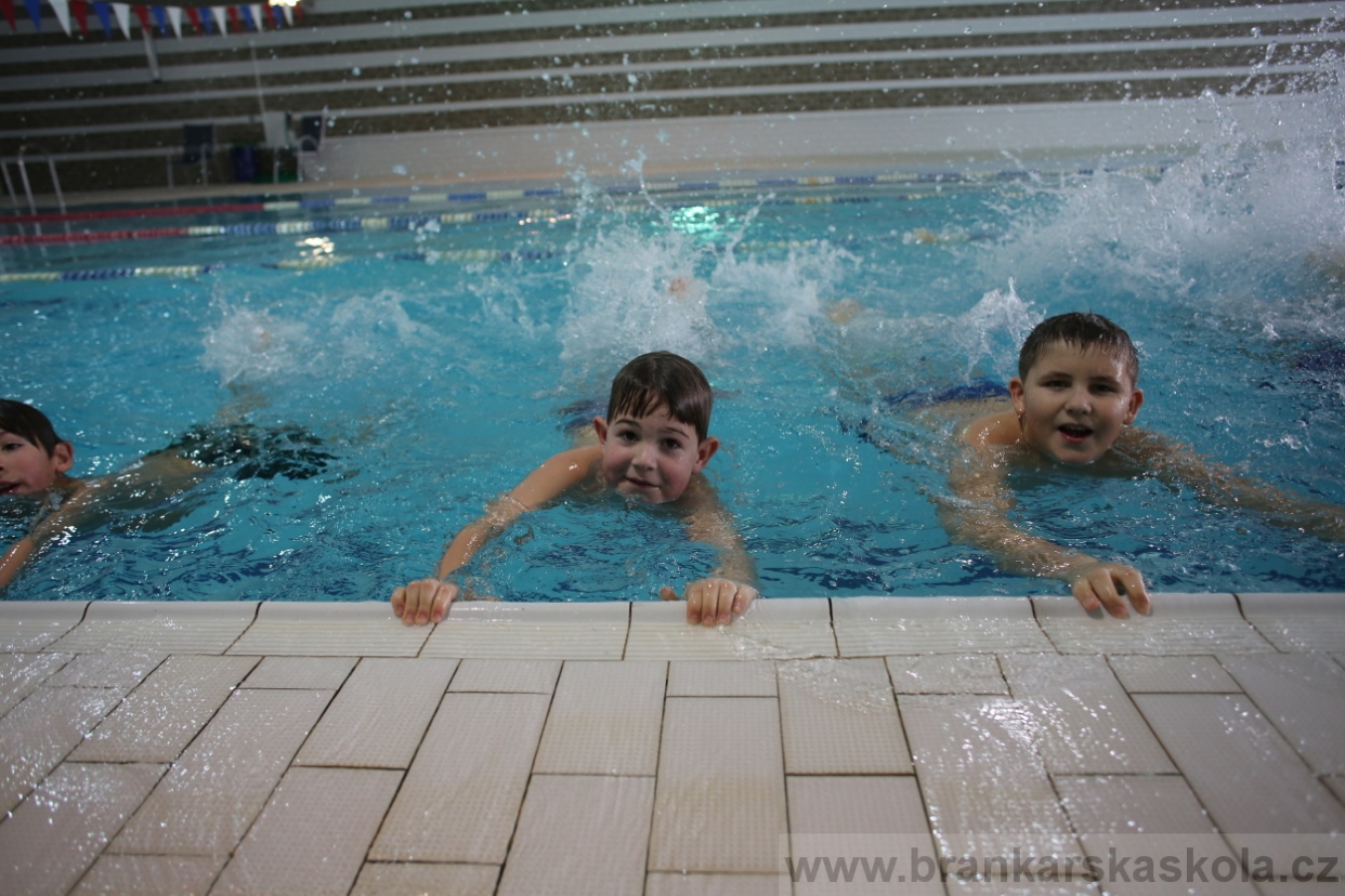 BFŠJCH - Zima 2017 - 4.2,2017