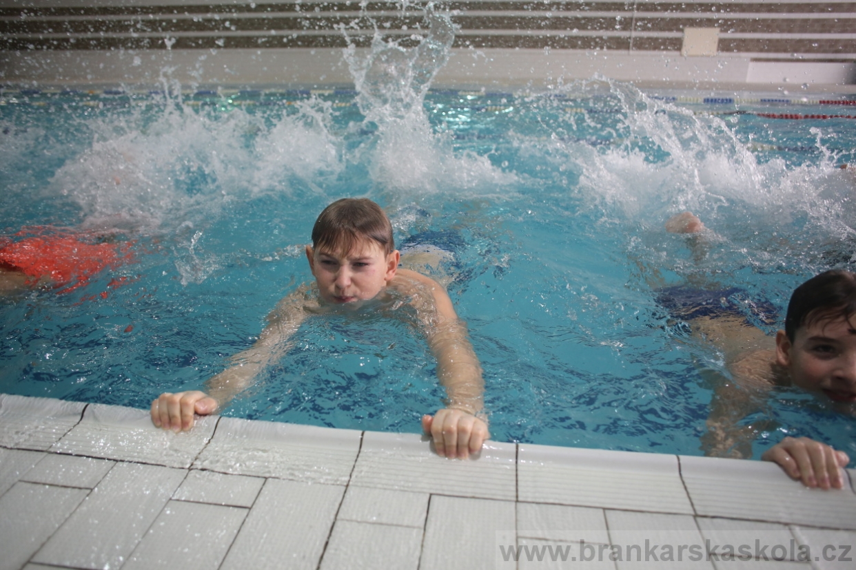 BFŠJCH - Zima 2017 - 4.2,2017