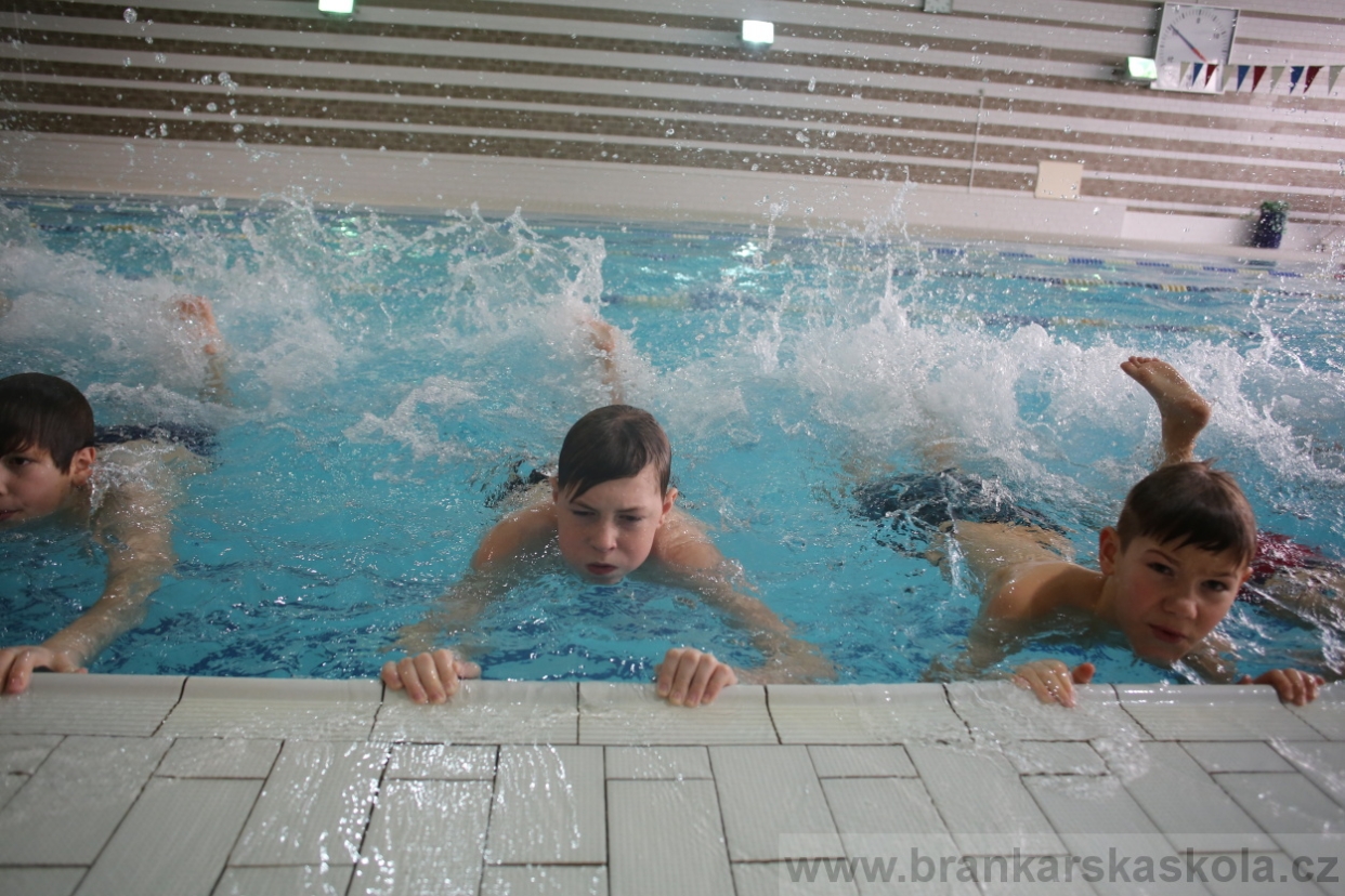 BFŠJCH - Zima 2017 - 4.2,2017