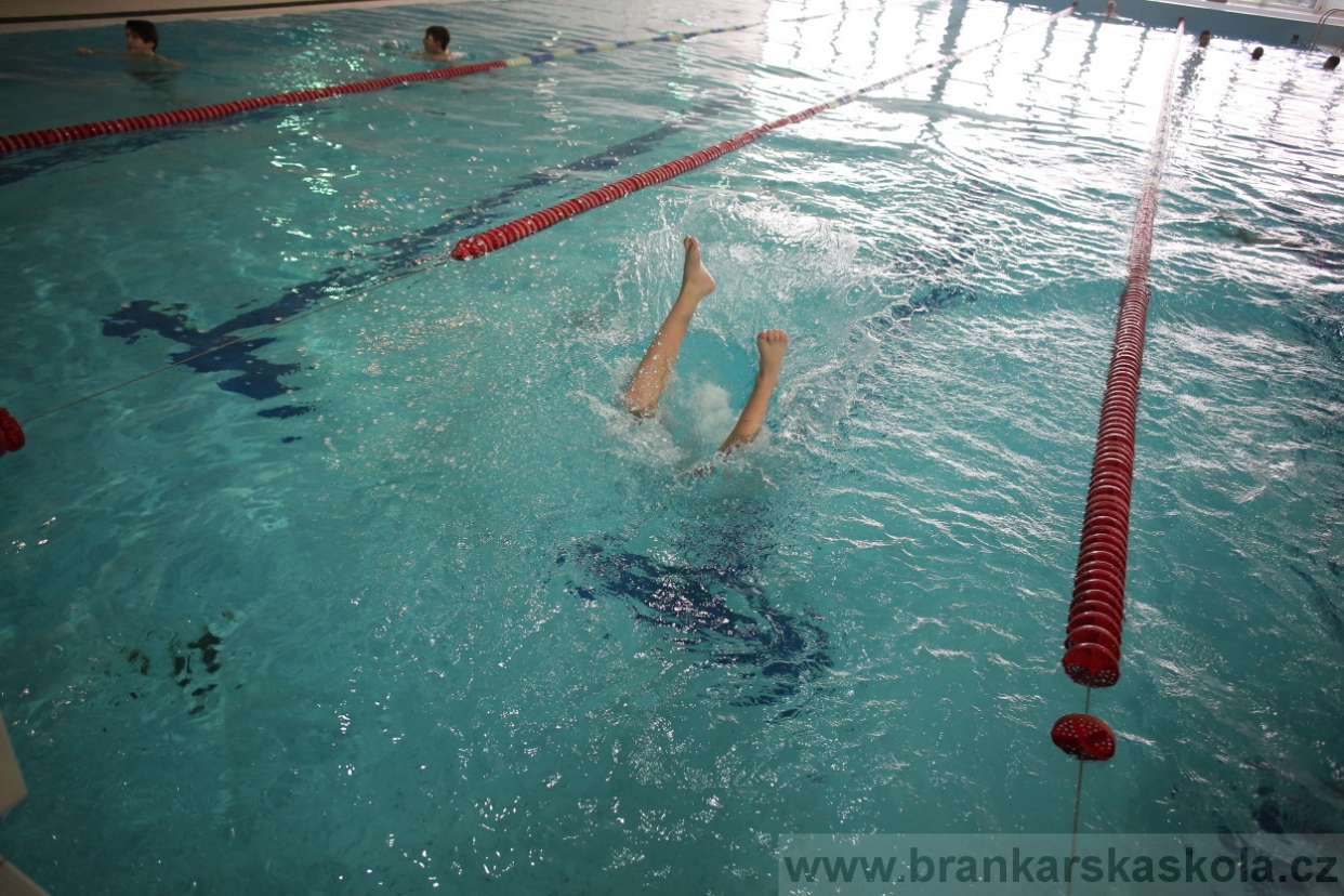 BFŠJCH - Zima 2017 - 4.2,2017