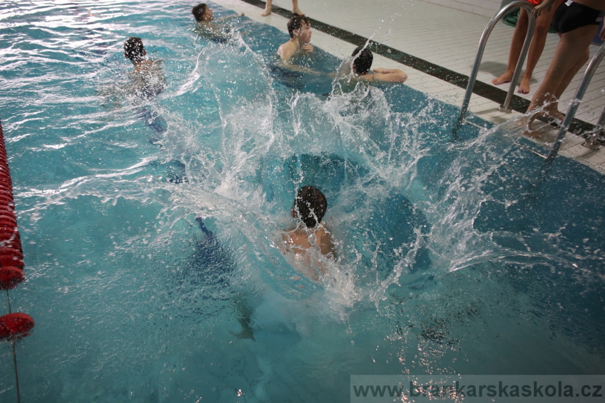 BFŠJCH - Zima 2017 - 4.2,2017