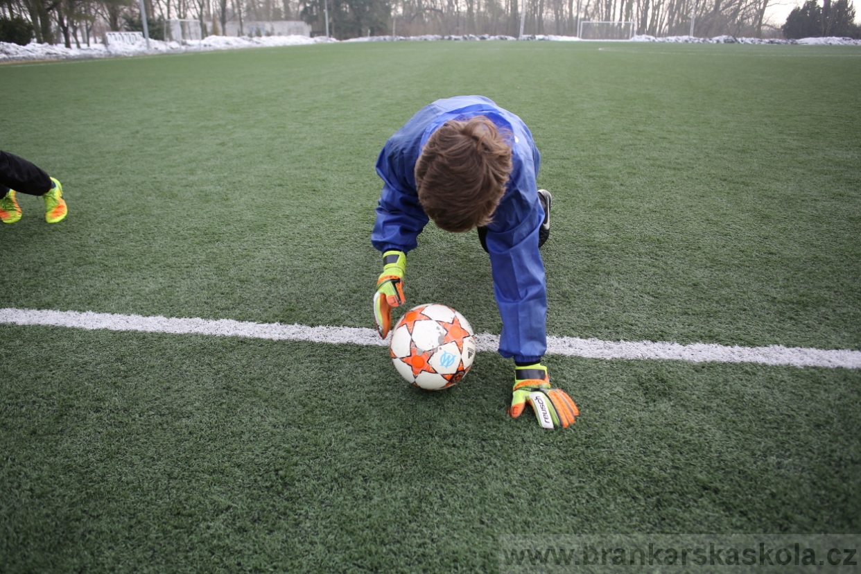 BFŠJCH - Zima 2017 - 4.2,2017