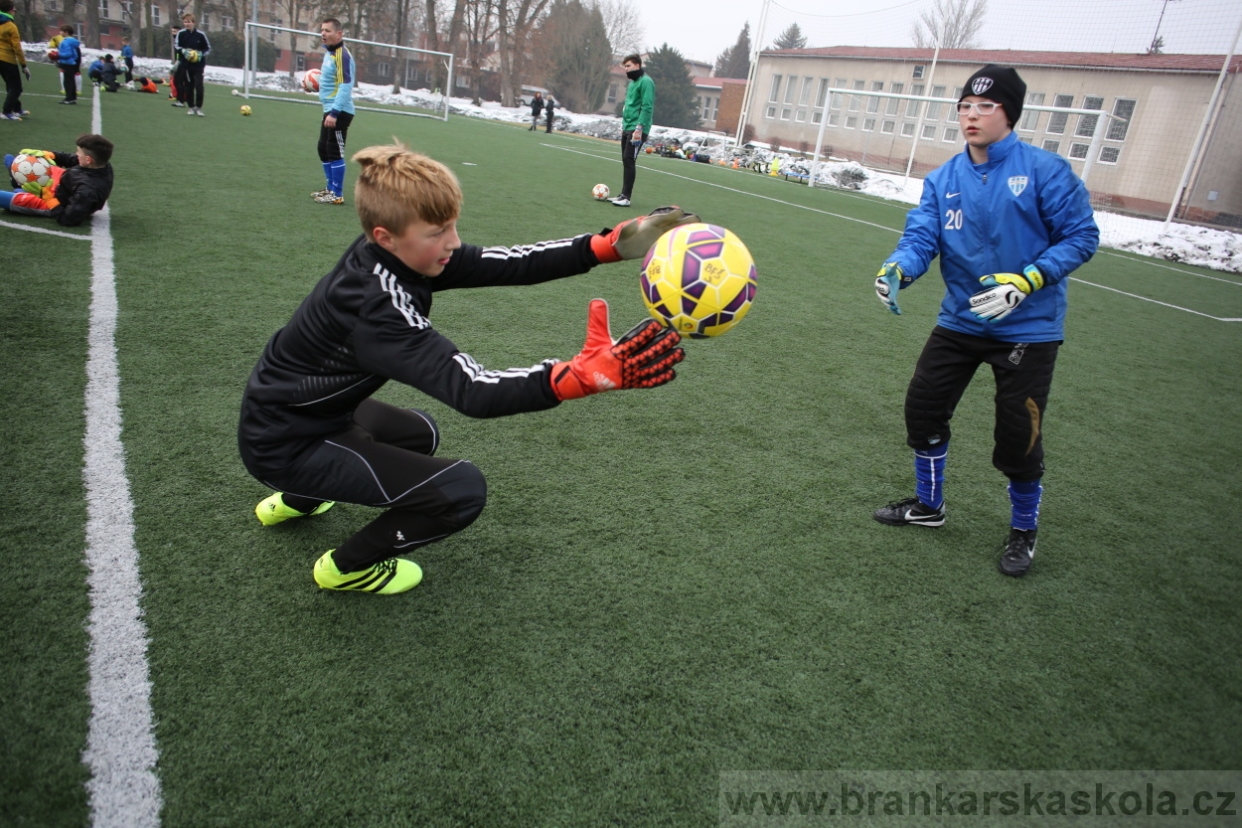 BFŠJCH - Zima 2017 - 4.2,2017