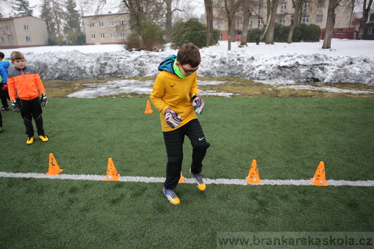BFŠJCH - Zima 2017 - 4.2,2017