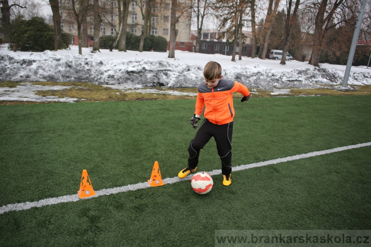 BFŠJCH - Zima 2017 - 4.2,2017