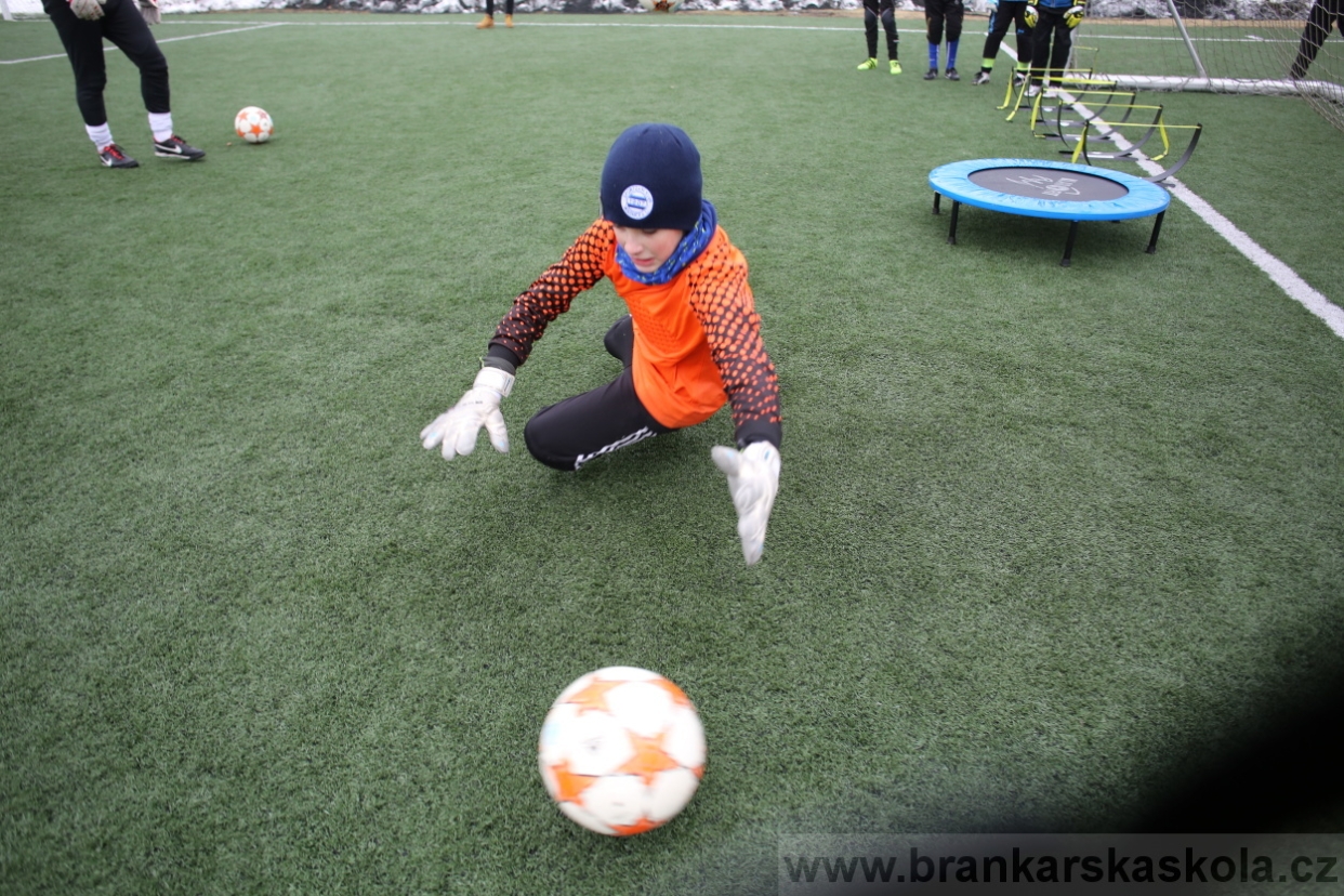 BFŠJCH - Zima 2017 - 4.2,2017