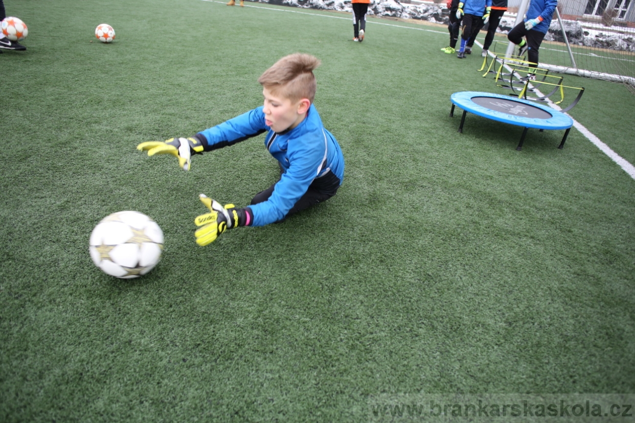 BFŠJCH - Zima 2017 - 4.2,2017