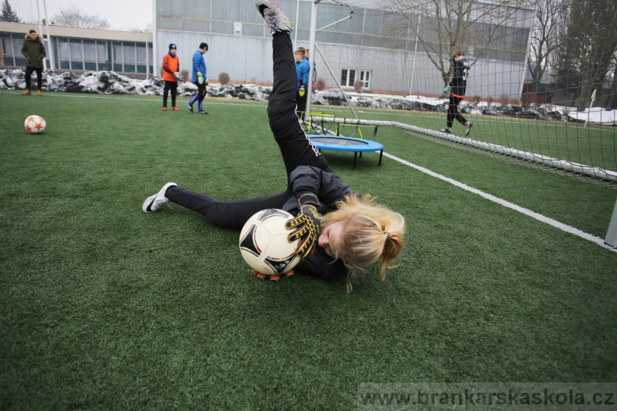 BFŠJCH - Zima 2017 - 4.2,2017