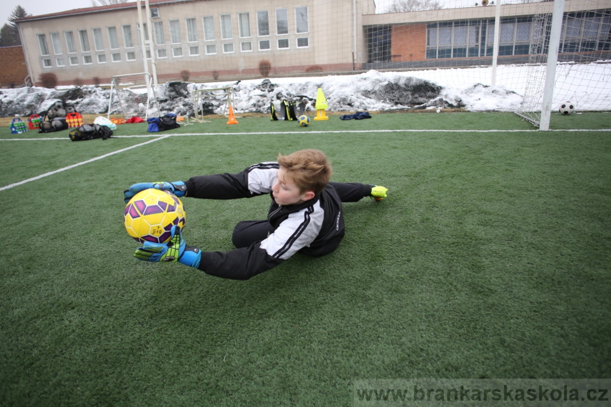 BFŠJCH - Zima 2017 - 4.2,2017