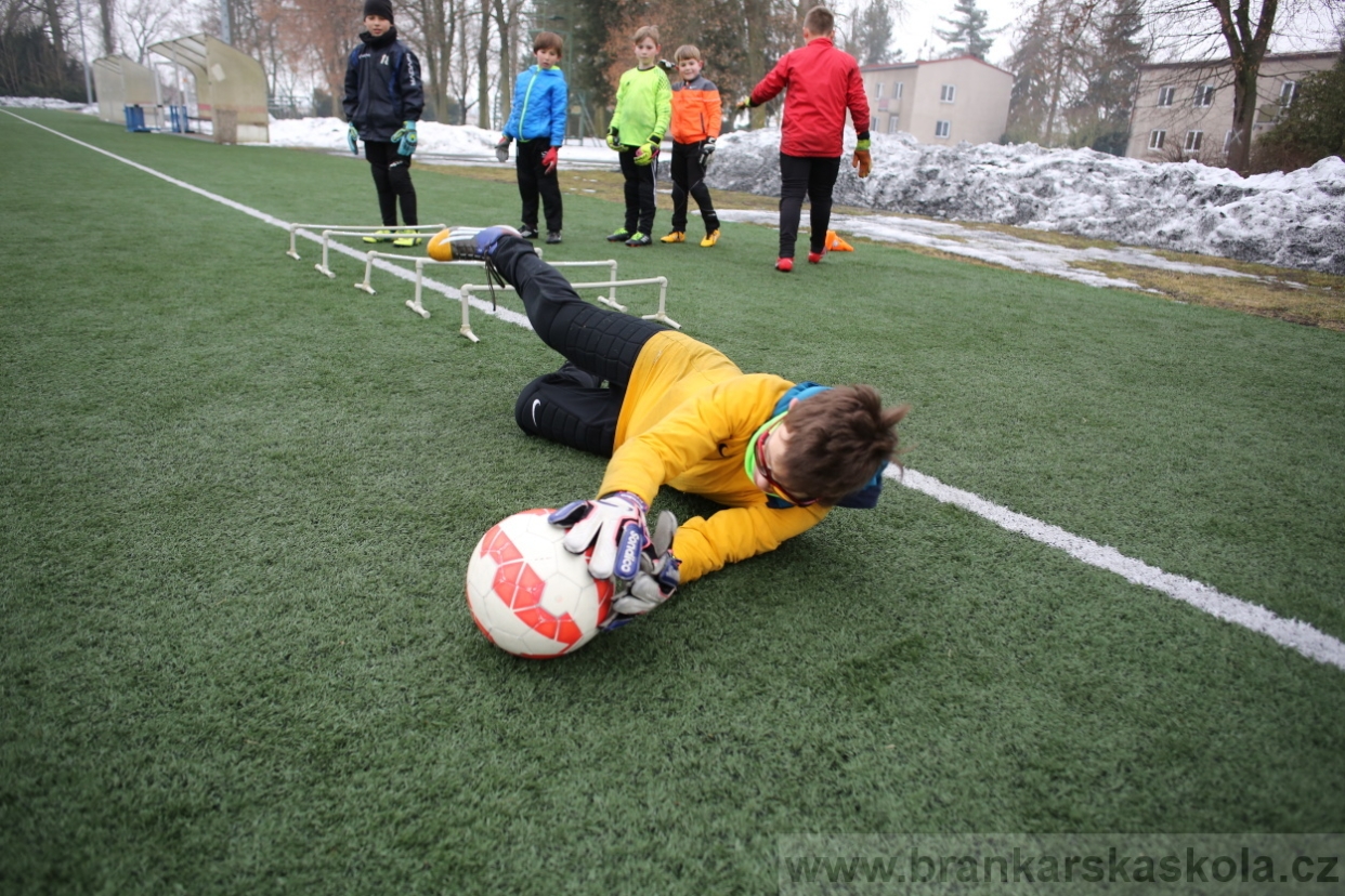 BFŠJCH - Zima 2017 - 4.2,2017