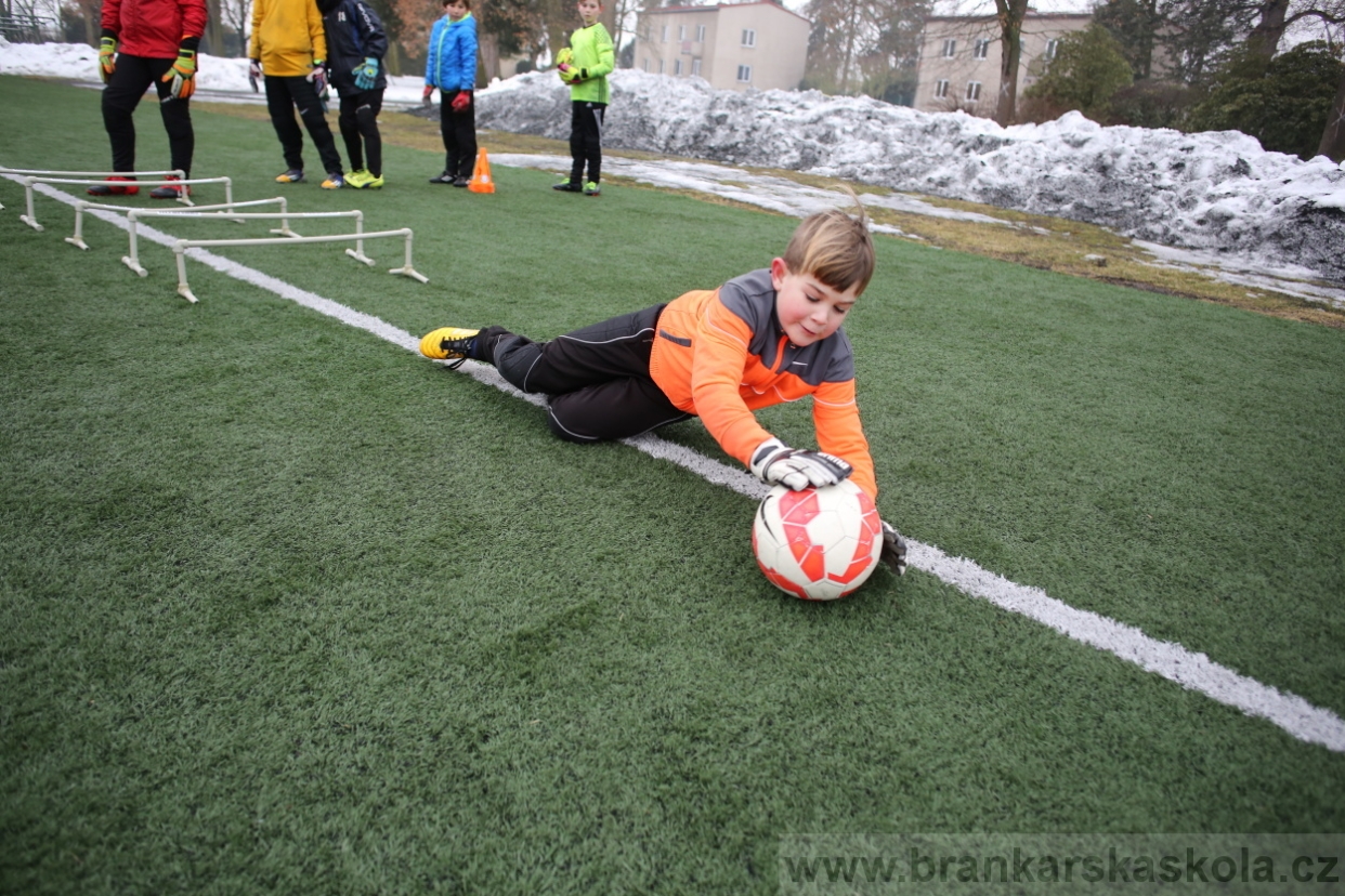 BFŠJCH - Zima 2017 - 4.2,2017