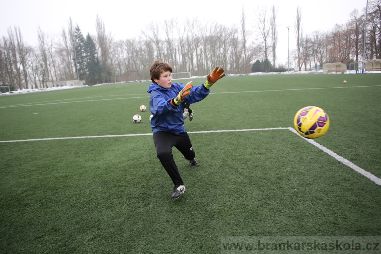 BFŠJCH - Zima 2017 - 4.2,2017