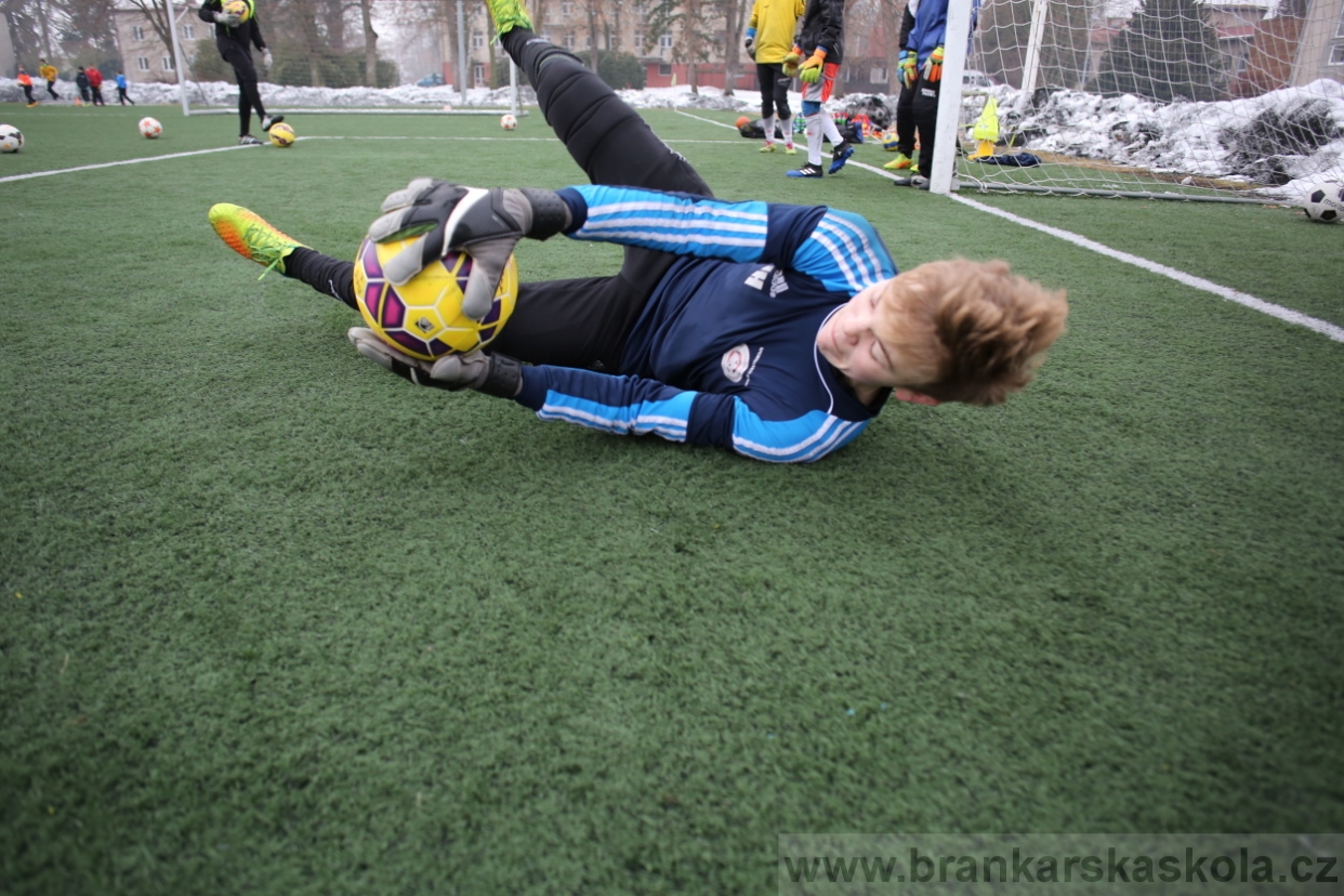 BFŠJCH - Zima 2017 - 4.2,2017