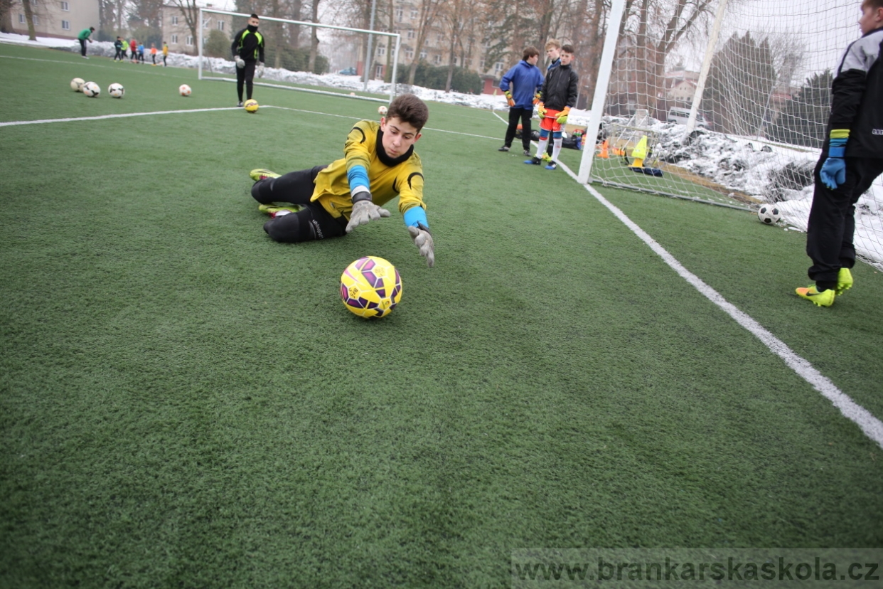 BFŠJCH - Zima 2017 - 4.2,2017