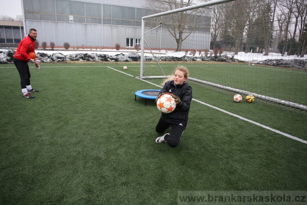 BFŠJCH - Zima 2017 - 4.2,2017