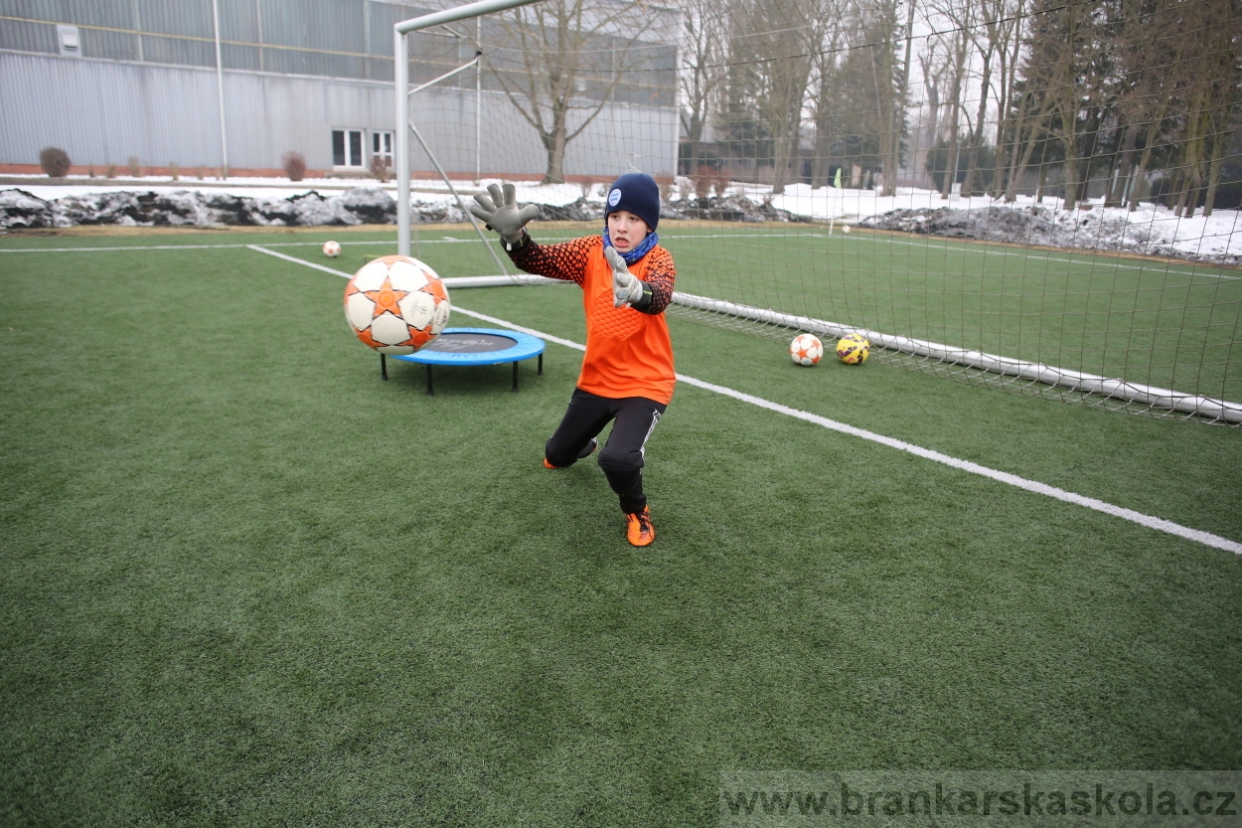 BFŠJCH - Zima 2017 - 4.2,2017