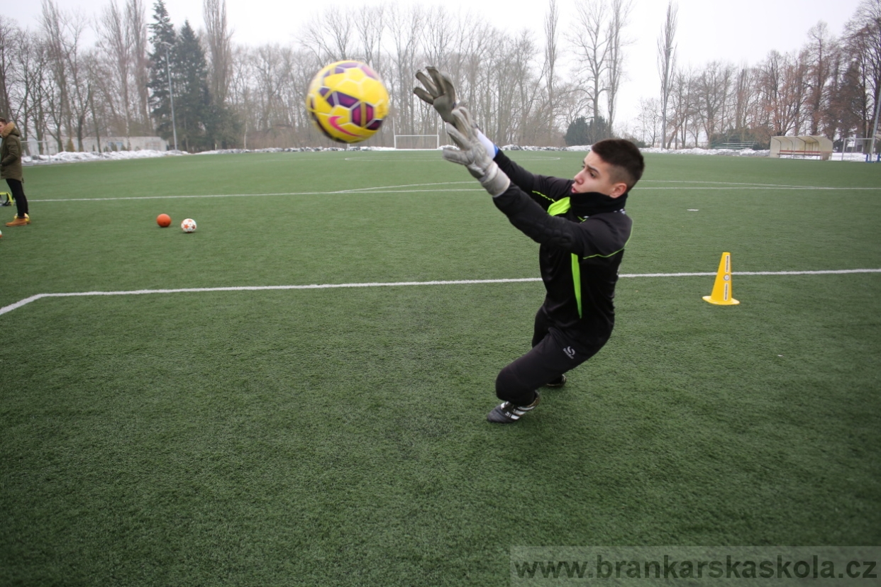 BFŠJCH - Zima 2017 - 4.2,2017